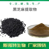 黑芝麻提取物 水溶黑芝麻粉 固體飲料