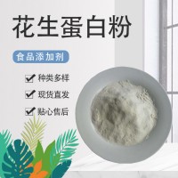 花生蛋白食品級 饅頭面條肉面制品增筋改良膨化劑