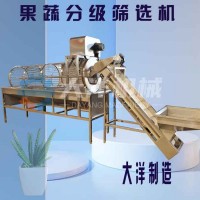果蔬分級機 滾筒式蒜頭分級機 不銹鋼山楂分選設備