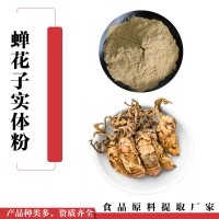 蟬花子實體粉  蟬花粉