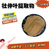杜仲提取物  綠原酸25%