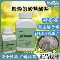 聚賴氨酸鹽酸鹽 天然食品防腐劑