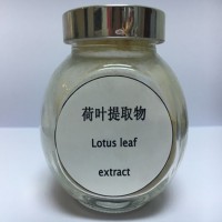 荷葉粉 荷葉黃酮20%荷葉提取物 荷葉堿10%荷葉肽