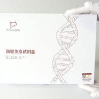 牛C反應蛋白ELISA試劑盒