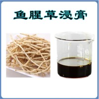 魚(yú)腥草浸膏  魚(yú)腥草提取液