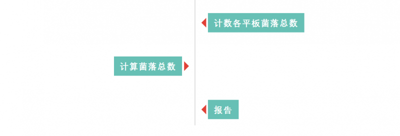圖片8