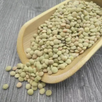 小扁豆脫皮機(jī)  兵豆去皮脫皮機(jī)  小扁豆整粒脫皮機(jī)