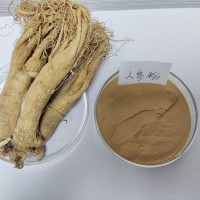 人參提取物  食品原料人參粉