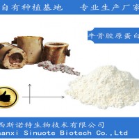 牛骨膠原蛋白肽 85%活性成分 小分子低聚肽廠家 現貨包郵