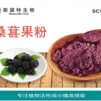 桑葚粉 桑葚果粉 桑葚提取物 紫紅色粉末