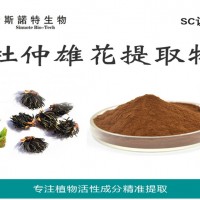 杜仲雄花提取物 工廠原料