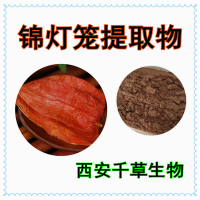 燈籠果提取物 供應植物提取物定做燈籠果濃縮浸膏
