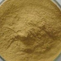 大量供應 羅漢果提取物