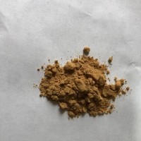 細辛提取物