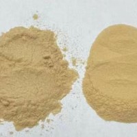 羊?qū)毺崛∥?羊鞭提取物 凍干粉