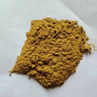 仙人掌提取物  仙人掌濃縮粉