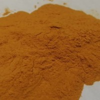 紅辣椒提取物