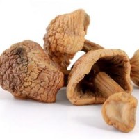 姬松茸提取物 姬松茸多糖濃縮粉