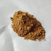 冥楂提取物 10:1木瓜提取物