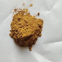 木瓜提取物 10:1純粉