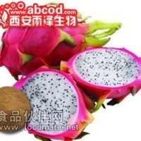 火龍果濃縮粉生產廠家