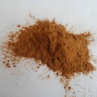 紅花提取物  紅花浸膏粉  紅花濃縮顆粒