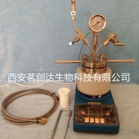 微型高壓反應釜WCGF-25ml