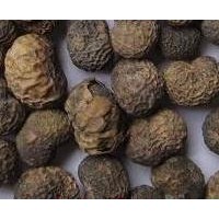棕櫚子提取物