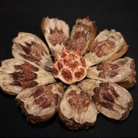 山菠蘿提取物