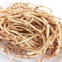 魚腥草提取物-廠家  魚腥草濃縮粉