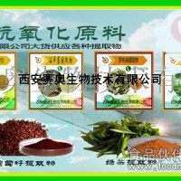 黃芪提取物  板藍根提取物  菊花提取物  石膏提取物