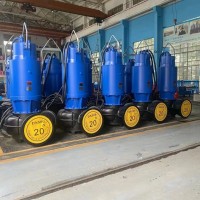 南京藍(lán)深WQ150-22-22提升泵 自耦安裝