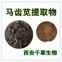 馬莧菜提取物馬莧菜濃縮粉馬莧菜浸膏
