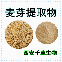 大麥蘗提取物大麥蘗濃縮浸膏粉