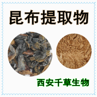 江白菜提取物 供應(yīng)植物提取物昆布濃縮浸膏粉