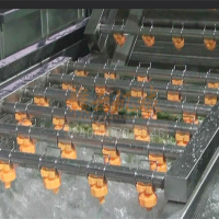 空心菜預洗機 氣泡沖洗空心菜的機器