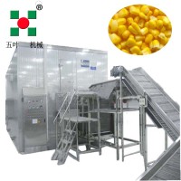 IQF流態(tài)化速凍機(jī)玉米粒水果水產(chǎn)肉粒葡萄草莓芒果二段式