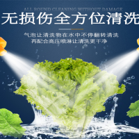 整顆香蔥清洗線，連續(xù)式香蔥清洗機，小蔥清洗流水線