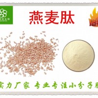 燕麥多肽 燕麥肽 燕麥蛋白肽粉 批發價格