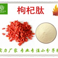 枸杞肽 枸杞糖肽 寧夏枸杞子提取