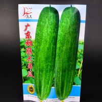 廠家供應紙袋可定制可裝蔬菜種子，水果種子的種子袋