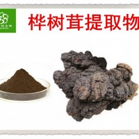 吉林長白山白樺茸提取物 樺褐孔菌粉 西伯利亞靈芝