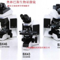 OLYMPUS奧林巴斯BX53正置生物熒光相差顯微鏡