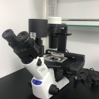 奧林巴斯CKX53倒置熒光顯微鏡