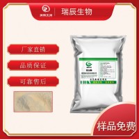 堿性蛋白酶