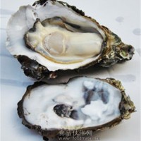 牡蠣肉提取物