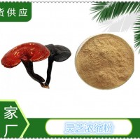靈芝濃縮粉廠家