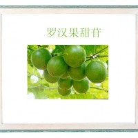 羅漢果甜苷廠家
