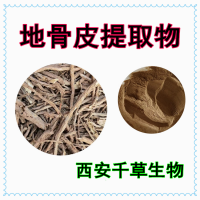 枸杞根提取物枸杞根濃縮粉枸杞根粉供應水溶性提取物粉末