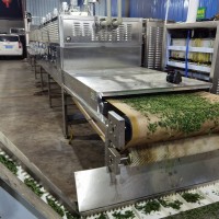 殺滅致病菌 大腸桿菌滅菌—微波滅菌機